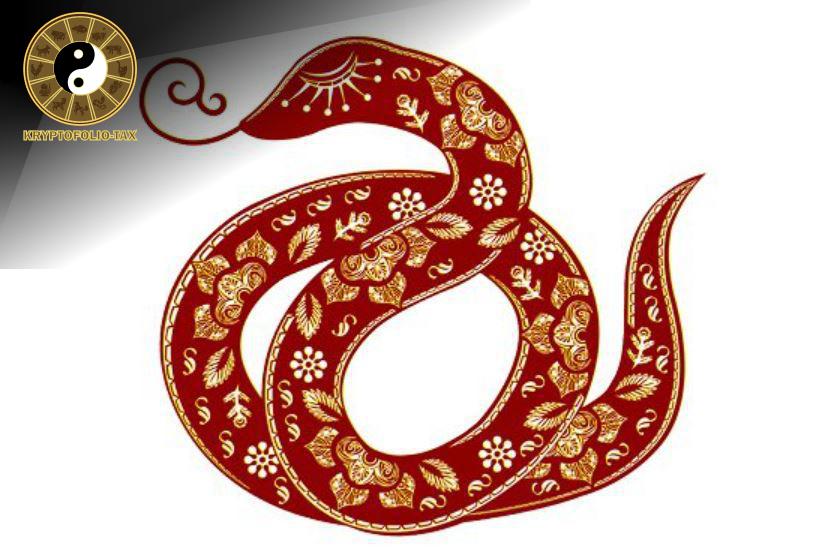 Gia Đạo và Sự Nghiệp của Nam Nhân Kỷ Tỵ